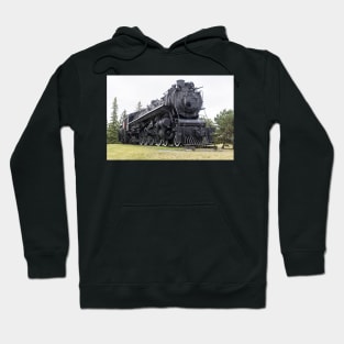 Steam locomotive on display Hoodie